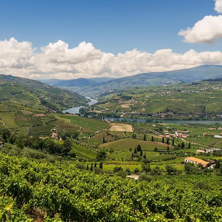 Dom wakacyjny Host Wise - Casa Dos Ciprestes - Pool & Vines Haven *