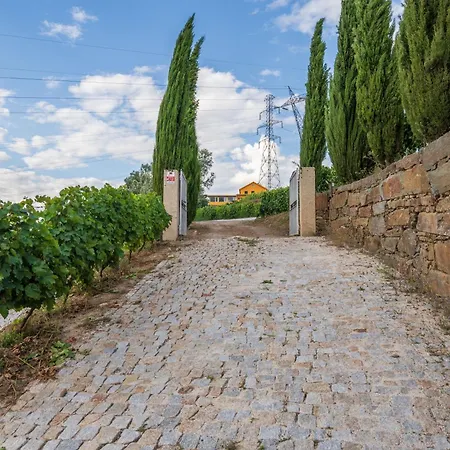 Host Wise - Casa Dos Ciprestes - Pool & Vines Haven Holiday home *