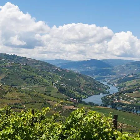 Host Wise - Casa Dos Ciprestes - Pool & Vines Haven Holiday home Lamego