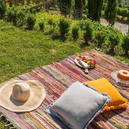 Host Wise - Casa Dos Ciprestes - Pool & Vines Haven Lamego