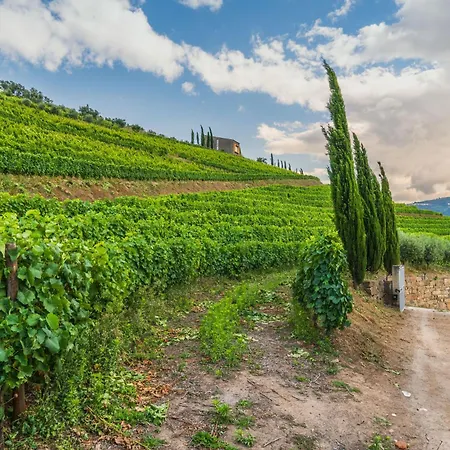 Host Wise - Casa Dos Ciprestes - Pool & Vines Haven Dom wakacyjny