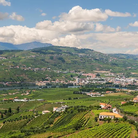 Prázdninový dům Host Wise - Casa Dos Ciprestes - Pool & Vines Haven *