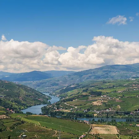 Host Wise - Casa Dos Ciprestes - Pool & Vines Haven Holiday home Lamego