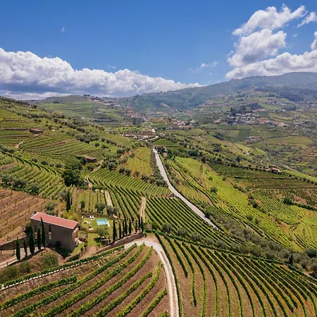 Host Wise - Casa Dos Ciprestes - Pool & Vines Haven *