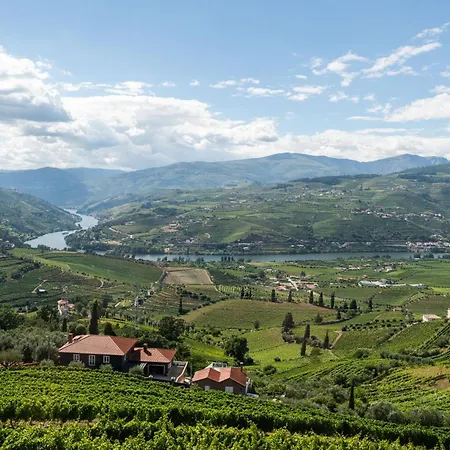 Host Wise - Casa Dos Ciprestes - Pool & Vines Haven Lamego