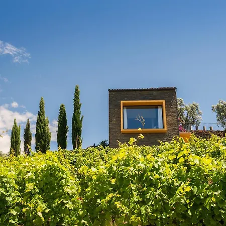 Host Wise - Casa Dos Ciprestes - Pool & Vines Haven * Lamego