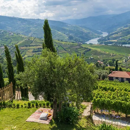 Dom wakacyjny Host Wise - Casa Dos Ciprestes - Pool & Vines Haven