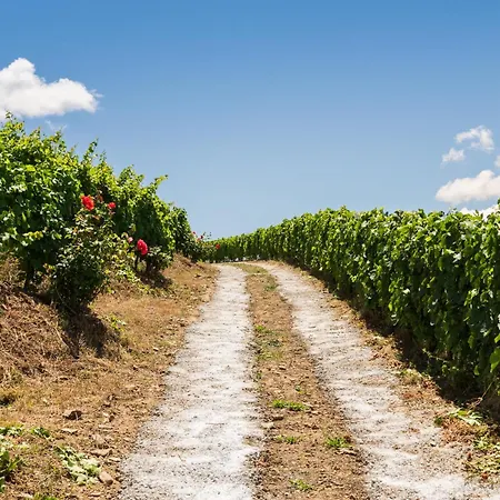 Dom wakacyjny Host Wise - Casa Dos Ciprestes - Pool & Vines Haven *