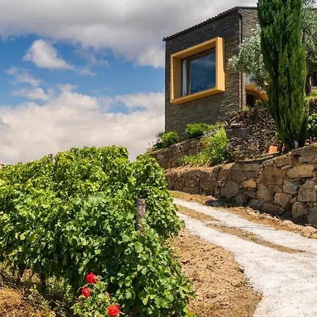 Dom wakacyjny Host Wise - Casa Dos Ciprestes - Pool & Vines Haven *