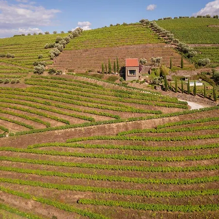 Host Wise - Casa Dos Ciprestes - Pool & Vines Haven *
