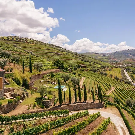 Host Wise - Casa Dos Ciprestes - Pool & Vines Haven Dom wakacyjny