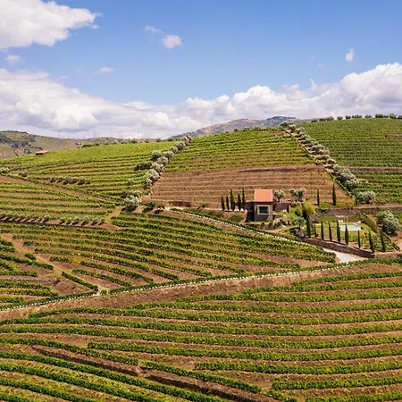 Host Wise - Casa Dos Ciprestes - Pool & Vines Haven Dom wakacyjny *