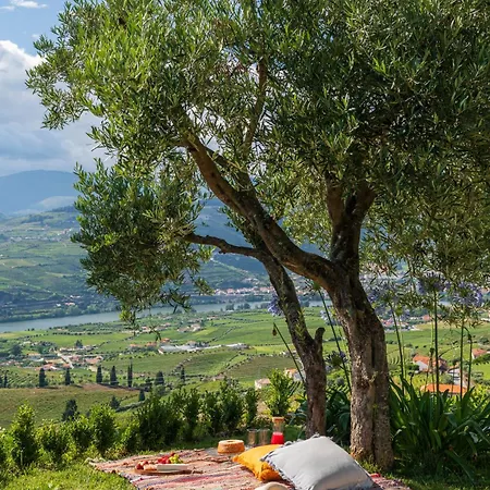 Holiday home Host Wise - Casa Dos Ciprestes - Pool & Vines Haven Lamego