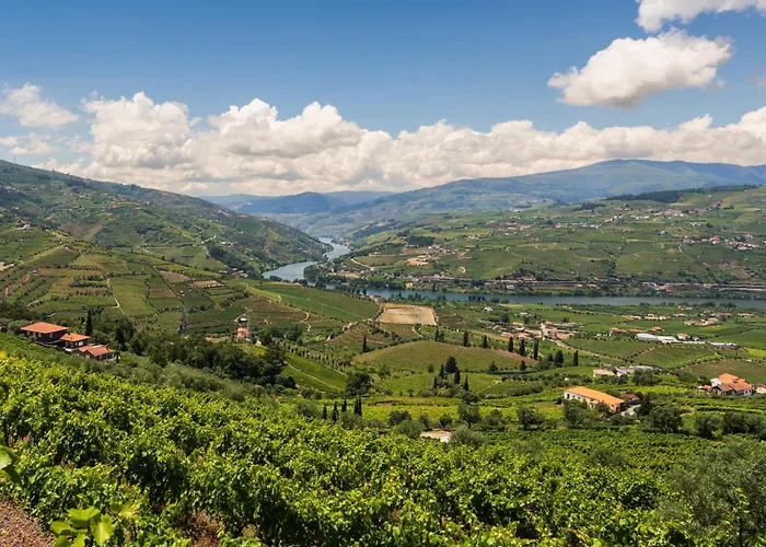 Сasa de vacaciones Host Wise - Casa Dos Ciprestes - Pool&vines Haven *