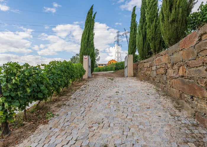 Host Wise - Casa Dos Ciprestes - Pool & Vines Haven Ferienhaus *