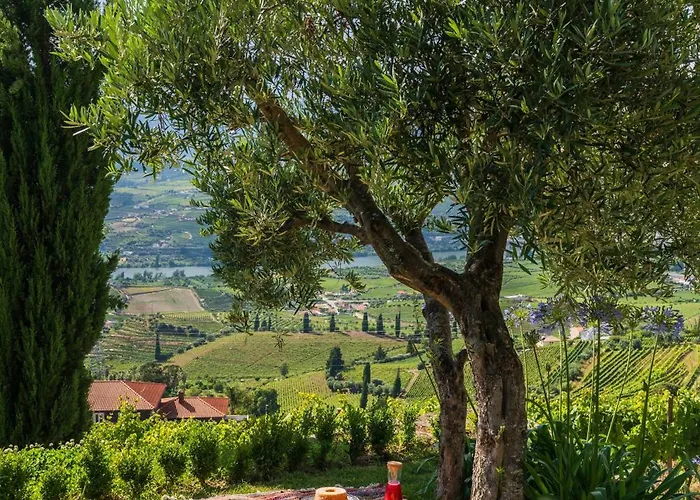 Host Wise - Casa Dos Ciprestes - Pool & Vines Haven Ferienhaus *