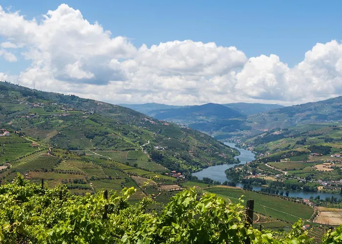 Host Wise - Casa Dos Ciprestes - Pool & Vines Haven Ferienhaus Lamego