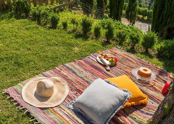 Host Wise - Casa Dos Ciprestes - Pool&vines Haven Lamego