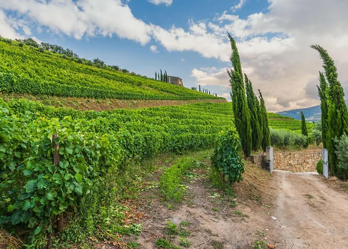 Host Wise - Casa Dos Ciprestes - Pool&vines Haven Сasa de vacaciones