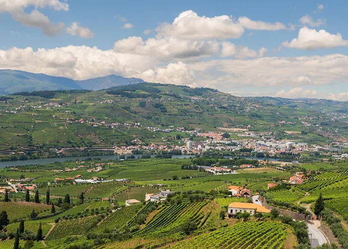 Ferienhaus Host Wise - Casa Dos Ciprestes - Pool & Vines Haven *