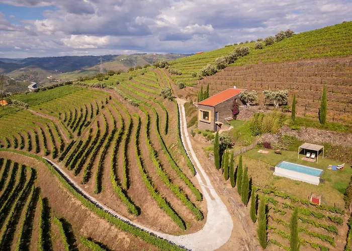 Host Wise - Casa Dos Ciprestes - Pool & Vines Haven