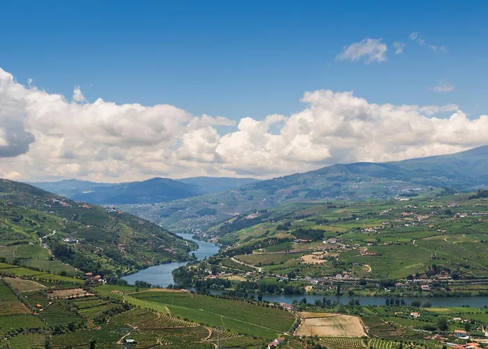 Host Wise - Casa Dos Ciprestes - Pool & Vines Haven Ferienhaus Lamego