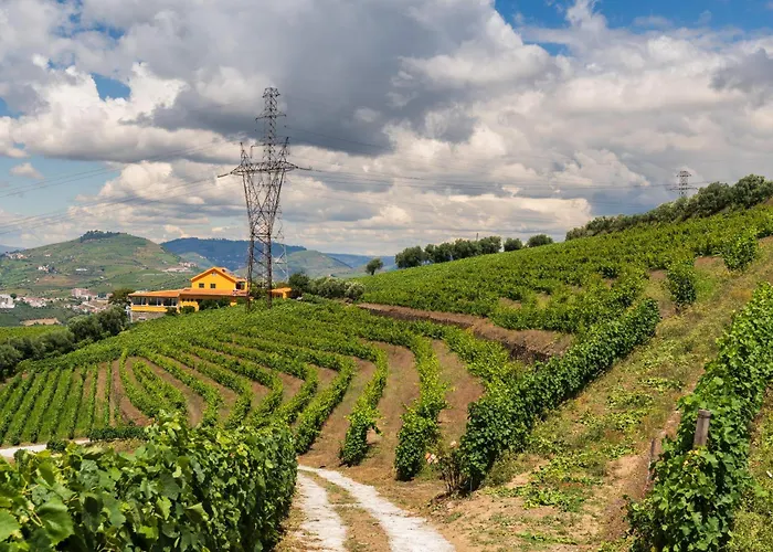 Ferienhaus Host Wise - Casa Dos Ciprestes - Pool & Vines Haven