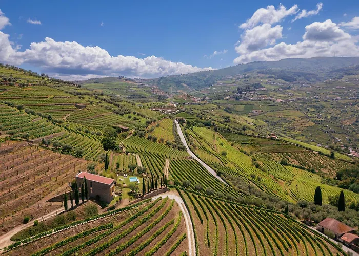 Host Wise - Casa Dos Ciprestes - Pool&vines Haven *