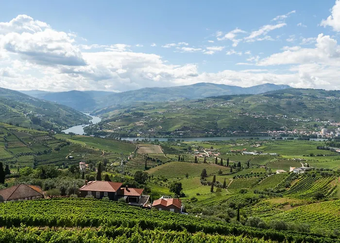 Host Wise - Casa Dos Ciprestes - Pool&vines Haven Lamego