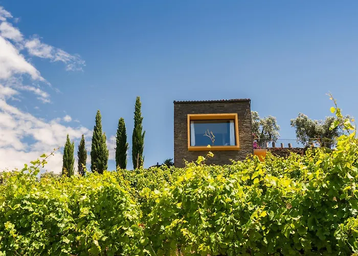 Host Wise - Casa Dos Ciprestes - Pool & Vines Haven * Lamego