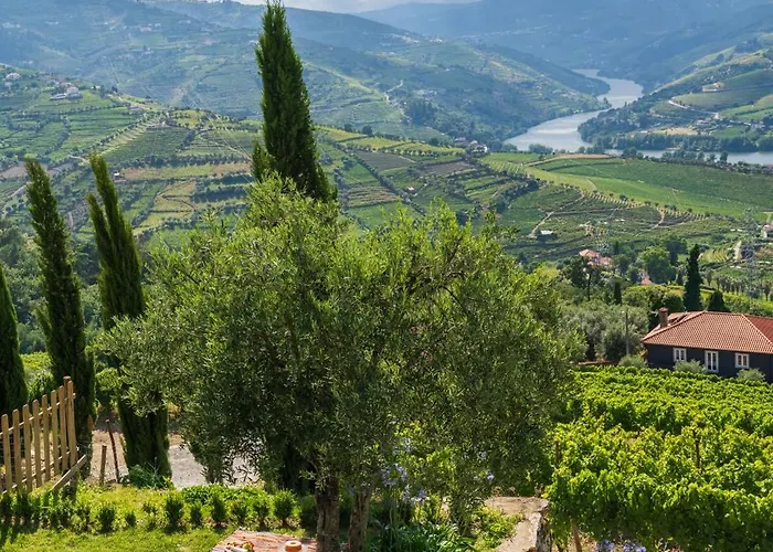 Ferienhaus Host Wise - Casa Dos Ciprestes - Pool & Vines Haven