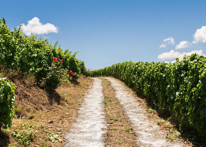 Сasa de vacaciones Host Wise - Casa Dos Ciprestes - Pool&vines Haven *