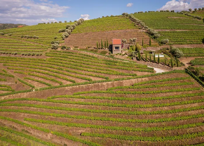 Host Wise - Casa Dos Ciprestes - Pool&vines Haven *