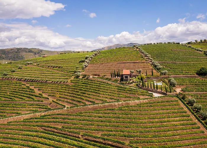 Host Wise - Casa Dos Ciprestes - Pool & Vines Haven Ferienhaus *